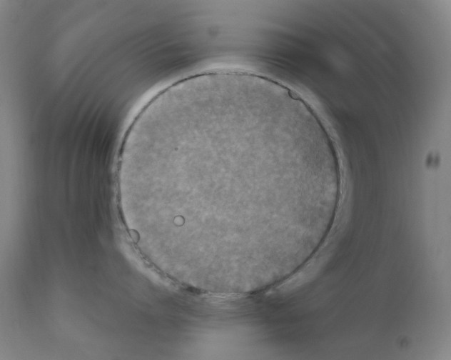 X0000110950864200907311040