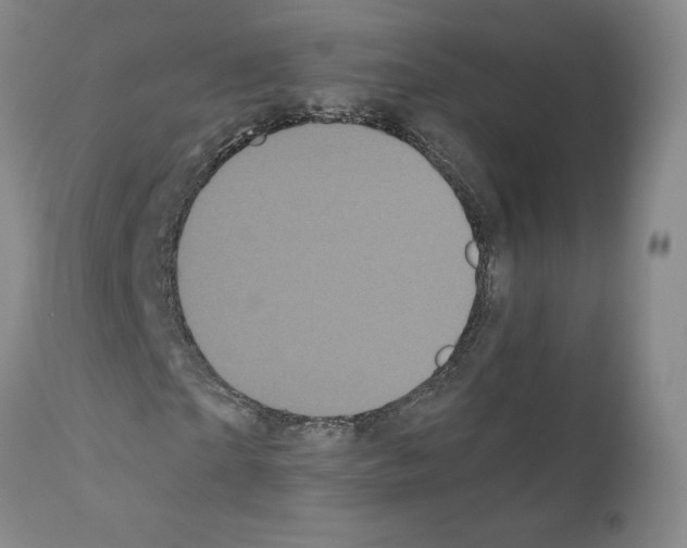X0000110950865200907311039