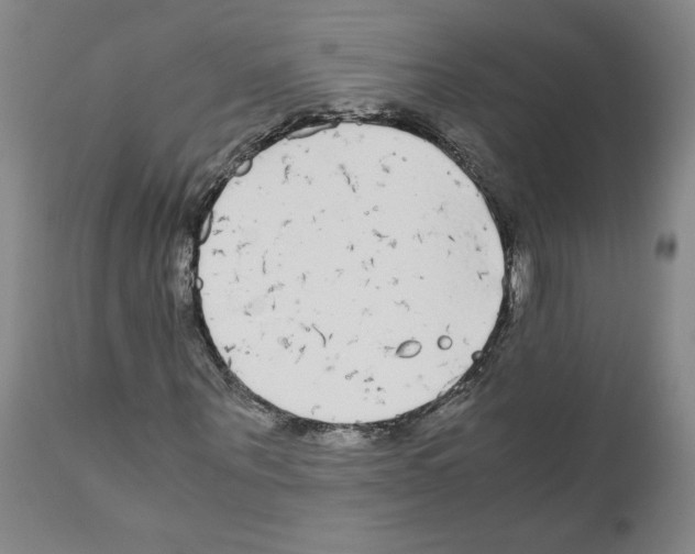 X0000110950867200907311039