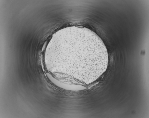 X0000110950868200907311039