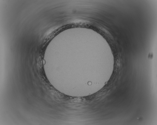 X0000110950869200907311039