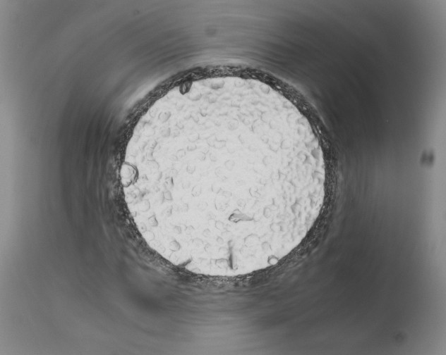 X0000110950871200907311039