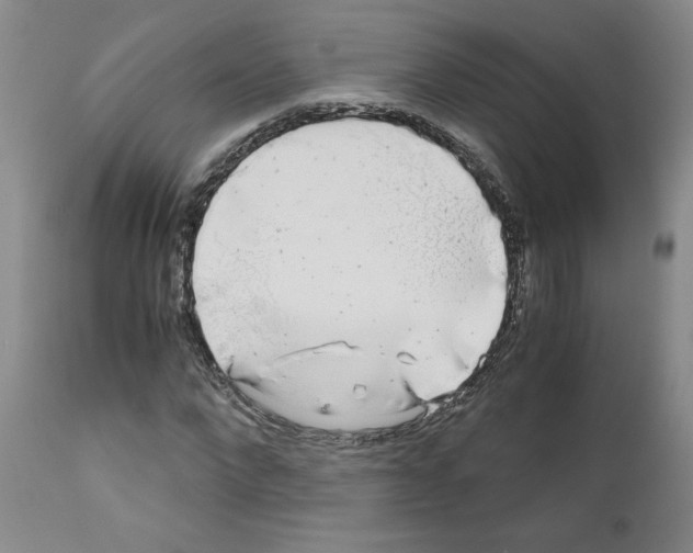 X0000110950872200907311039