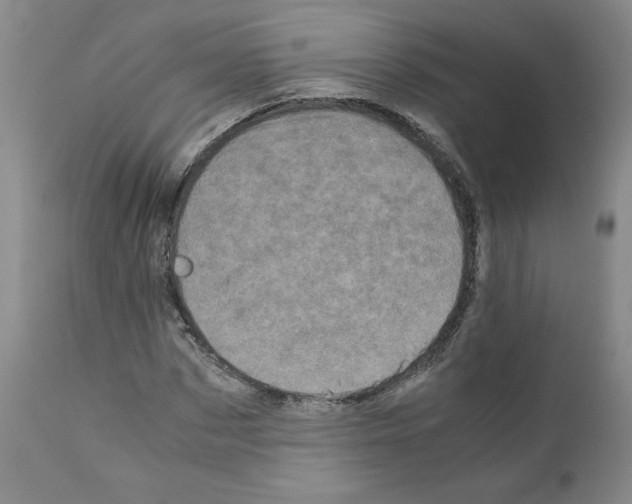X0000110950873200907311039