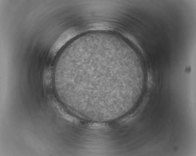 X0000110950874200907311039