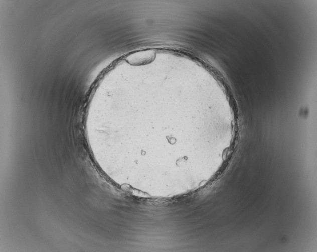 X0000110950875200907311039