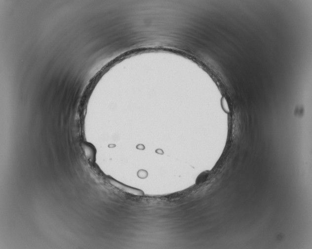X0000110950876200907311039