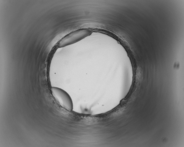 X0000110950877200907311039