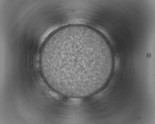 X0000110950878200907311039