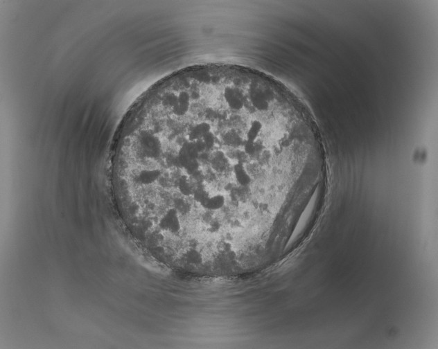 X0000110950879200907311039