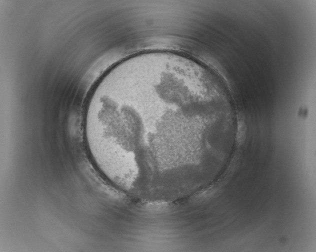 X0000110950882200907311039
