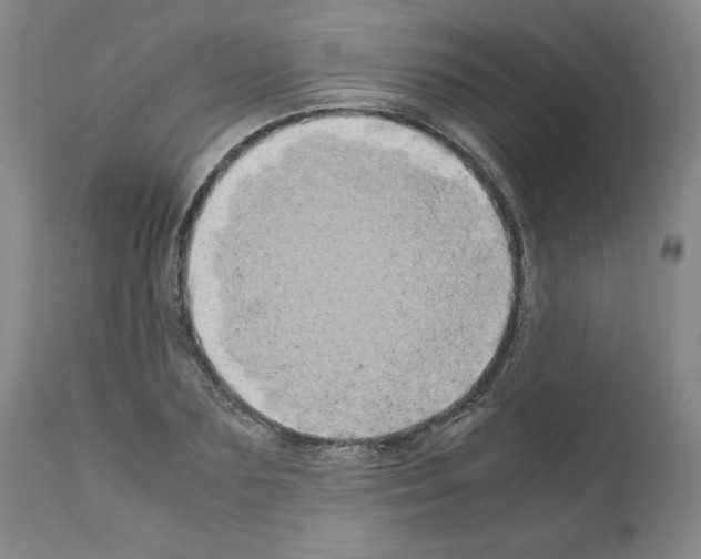 X0000110950883200907311039