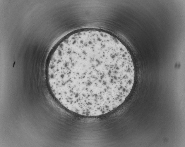 X0000110950884200907311039