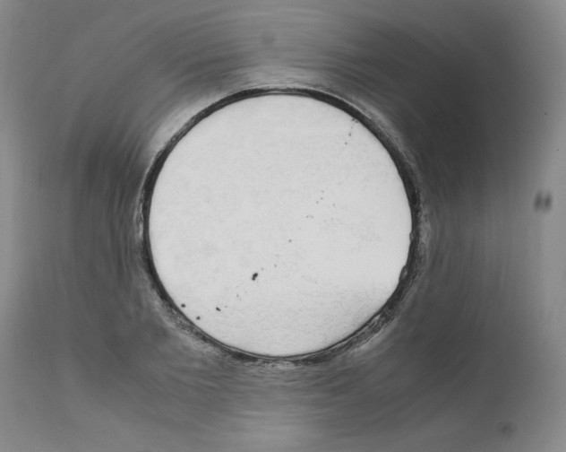 X0000110950885200907311039