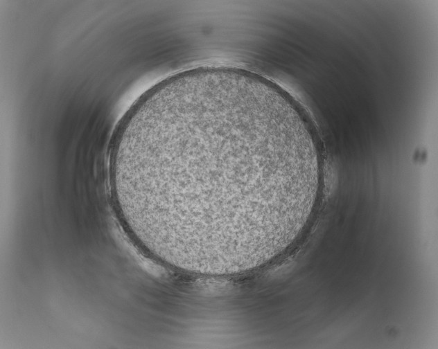 X0000110950886200907311039