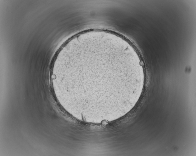 X0000110950887200907311039