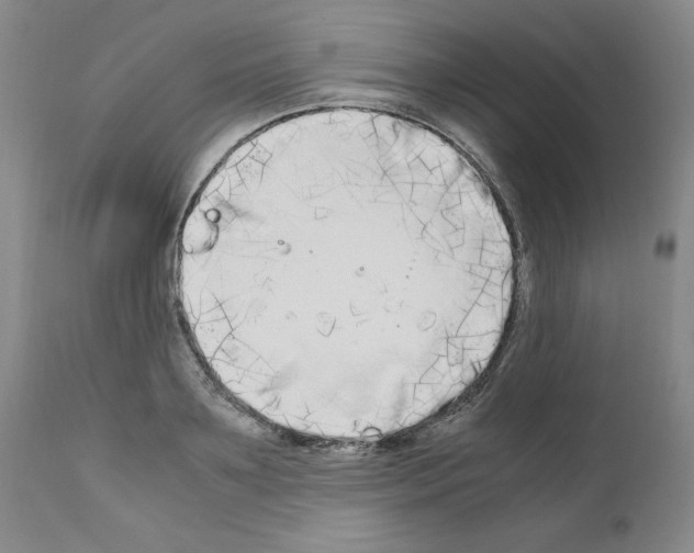 X0000110950891200907311039