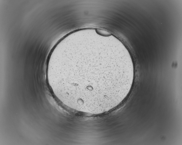 X0000110950892200907311039