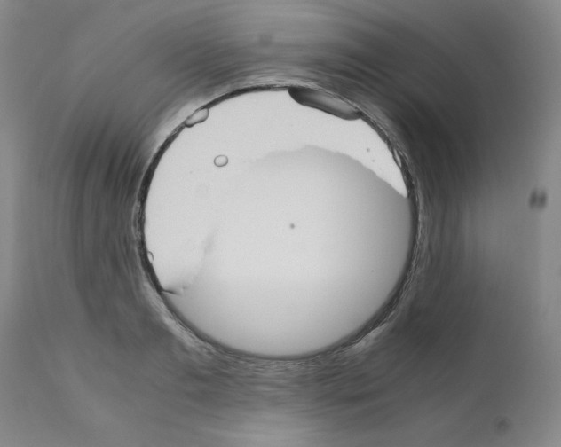 X0000110950893200907311039