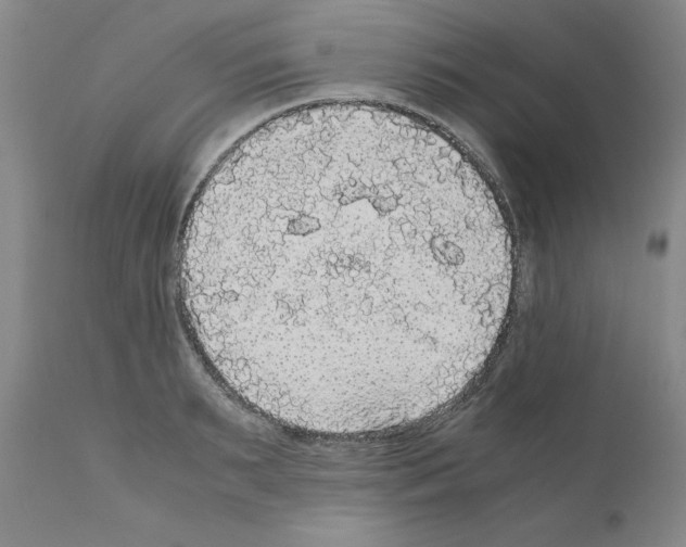 X0000110950895200907311039