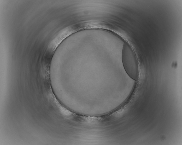 X0000110950897200907311039