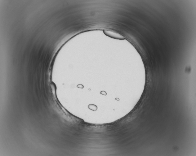 X0000110950900200907311038