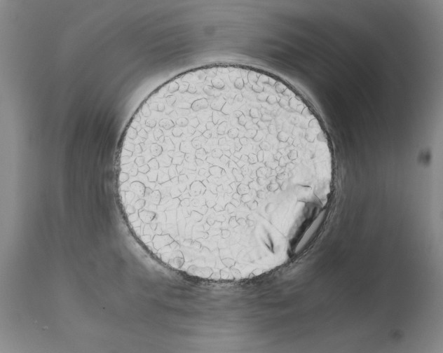 X0000110950903200907311038