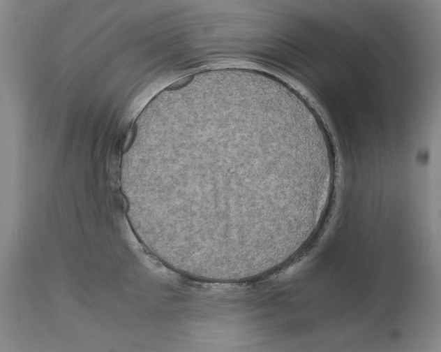 X0000110950905200907311038