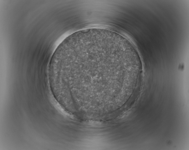 X0000110950907200907311038