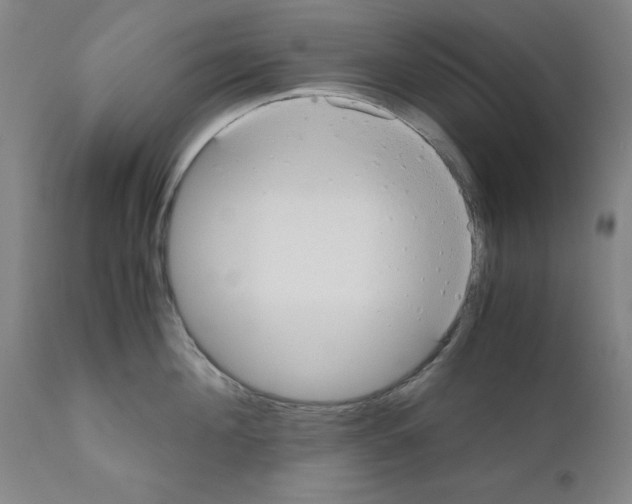 X0000110950908200907311038
