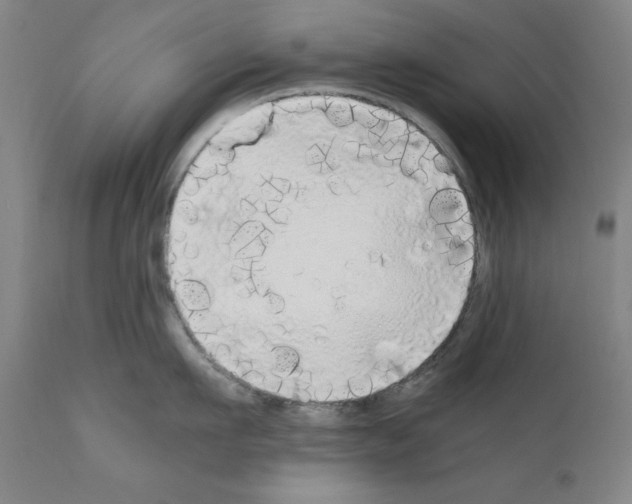 X0000110950911200907311038