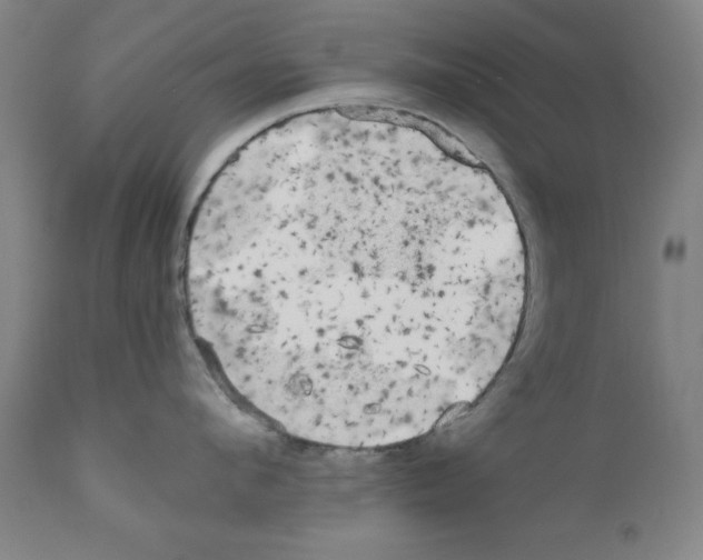 X0000110950912200907311038