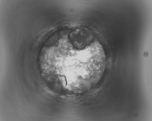 X0000110950913200907311037
