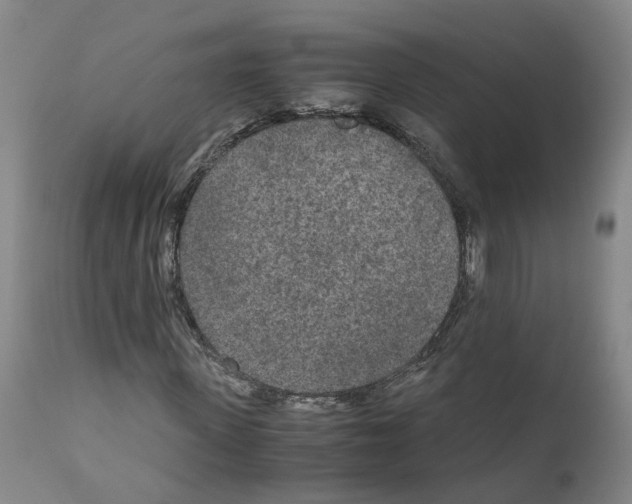 X0000110950915200907311037