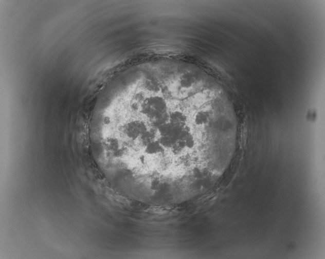 X0000110950917200907311037