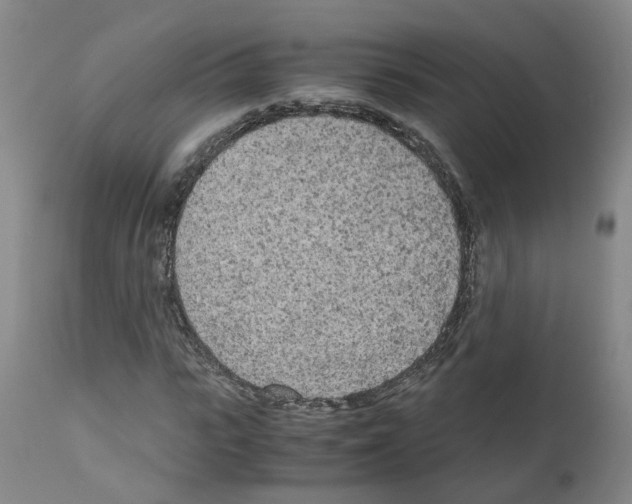 X0000110950919200907311037