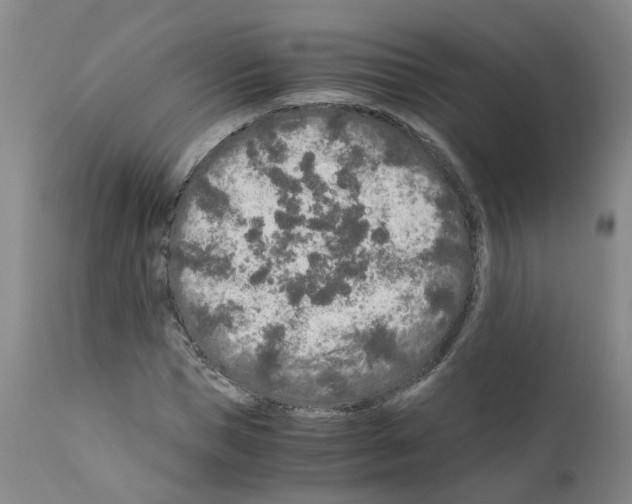 X0000110950921200907311037