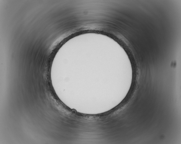 X0000110950922200907311037