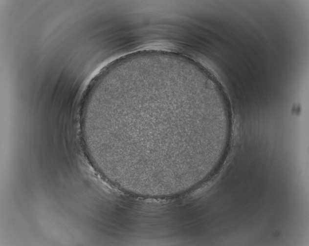 X0000110950923200907311037