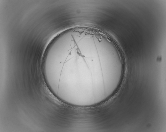 X0000110950924200907311037