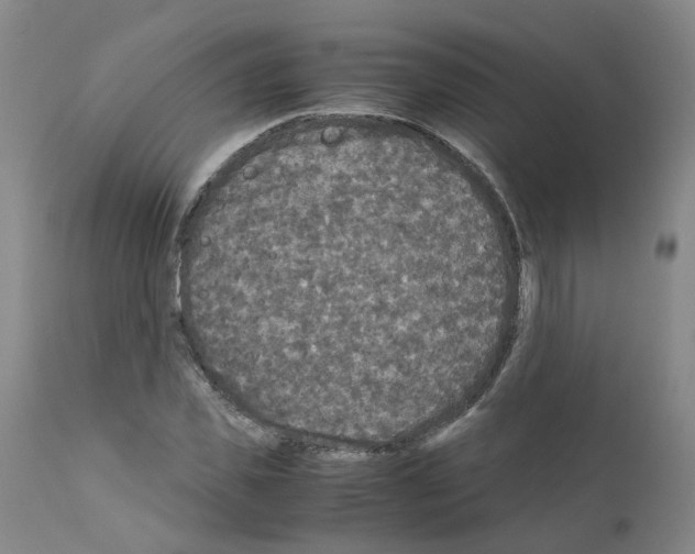 X0000110950925200907311037