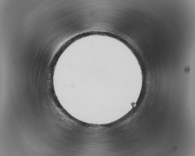 X0000110950926200907311037