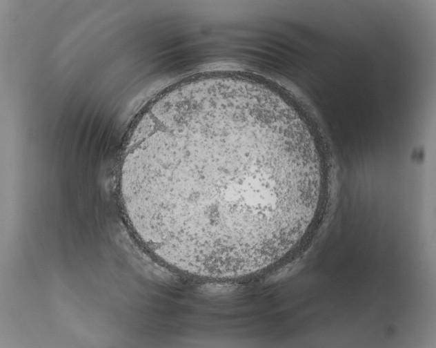 X0000110950929200907311037