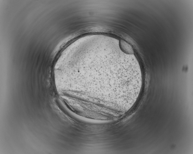 X0000110950930200907311037