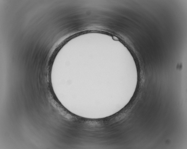 X0000110950931200907311037