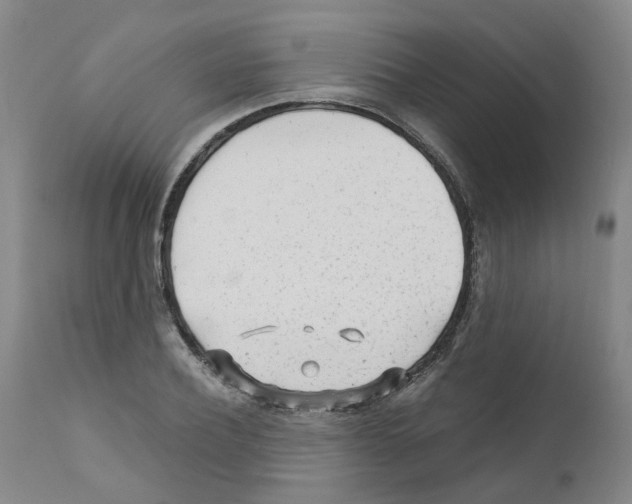 X0000110950932200907311038