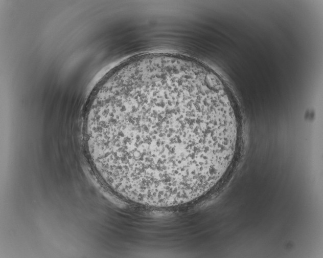 X0000110950933200907311038