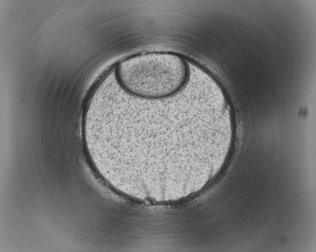 X0000110950934200907311038