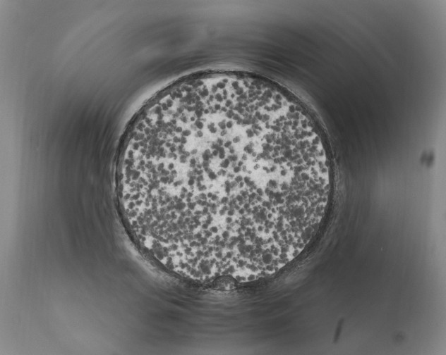 X0000110950935200907311038