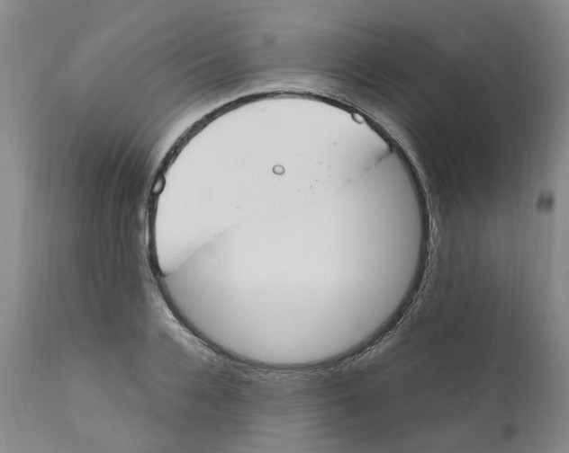 X0000110950936200907311038
